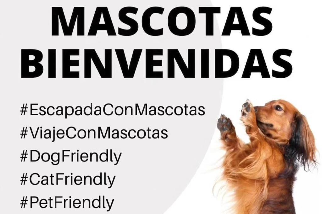 La Caseta De Rotova - Casa Rural Para Desconectar 외부 사진
