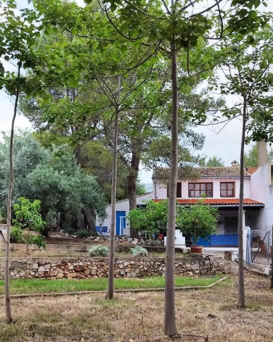 La Caseta De Rotova - Casa Rural Para Desconectar 외부 사진