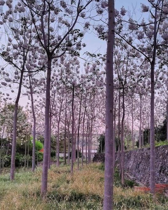 La Caseta De Rotova - Casa Rural Para Desconectar 외부 사진